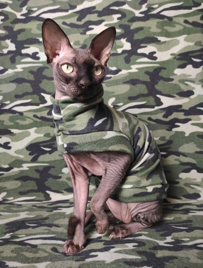 Catnip Camo - Sweaterknit