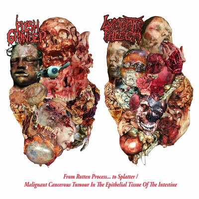 Lymphatic Phlegm / Flesh Grinder - Split Tape