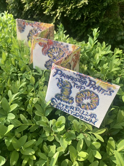 Top 10 Caterpillar Countdown