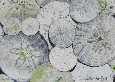 "Sand Dollars" Nature Inspired Artwork By N.E.Thompson, Art Print
