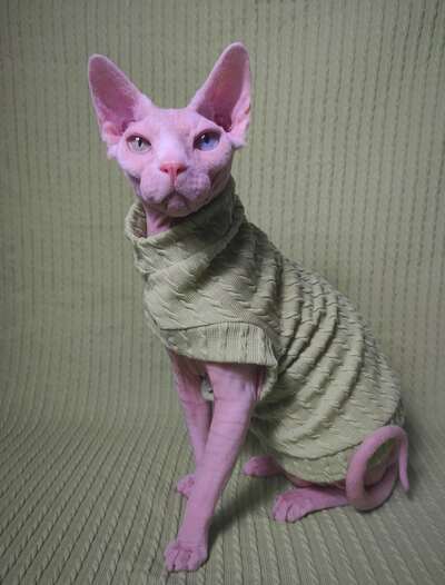 Matcha Cable Knit - Sweaterknit