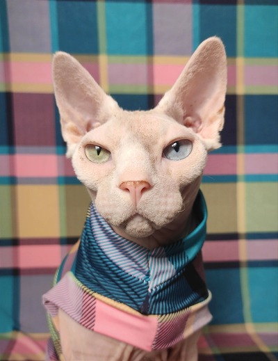 Summertime Plaidness - Sleepwear