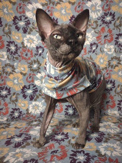 Painted Flowers - Sweaterknit