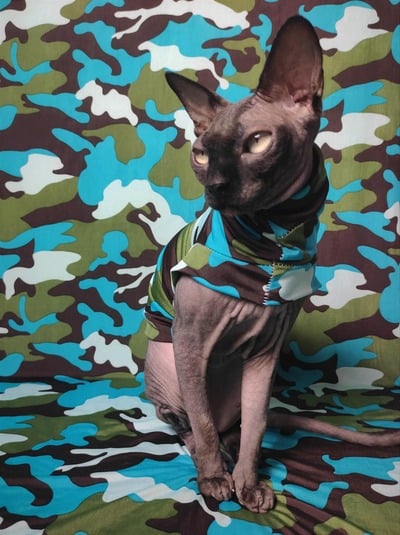 Multi-Environment - Sleepwear