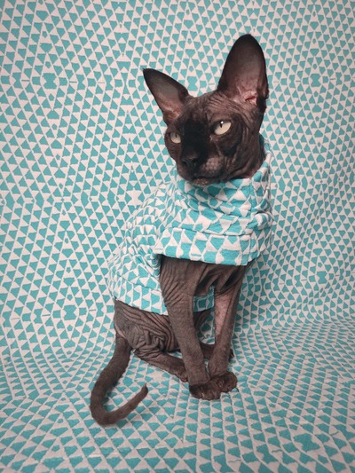 Bizarre Love Triangle