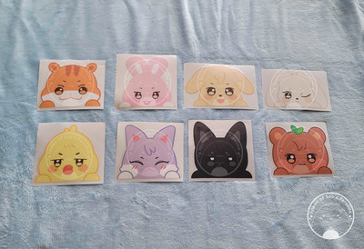 AN1T33Z LARGE Peekers