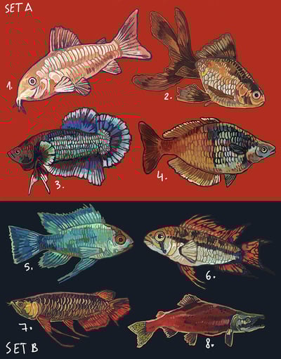 Fish sticker sheets