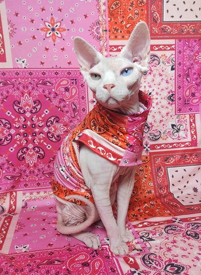 Cat Gang Bandana - Sleepwear