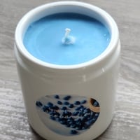 Fresh Blueberries Farmhouse Candle - Thumbnail 1
