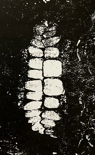 THE VOMIT ARSONIST "Everything Has Died And I Have Given Up"