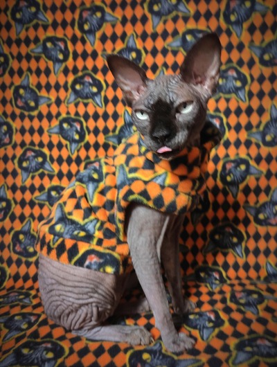 Black Cat Revenge - Luxe Fleece