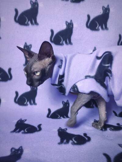 Black Cats Rising - Lightweight Fleece