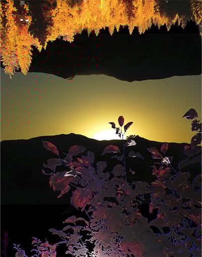 We Should Go Somewhere