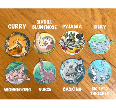 SHARK WEEK Stickers (8 Options!)
