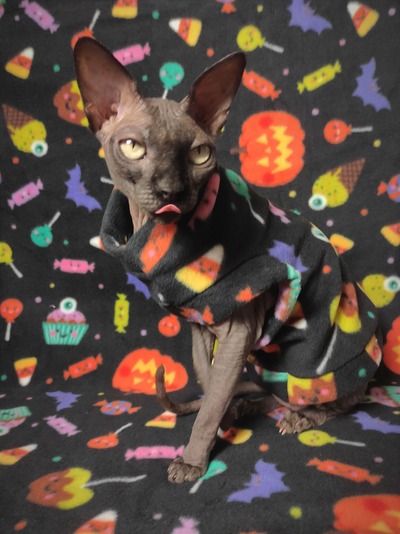 Trick-Or-Treats! - Luxe Fleece