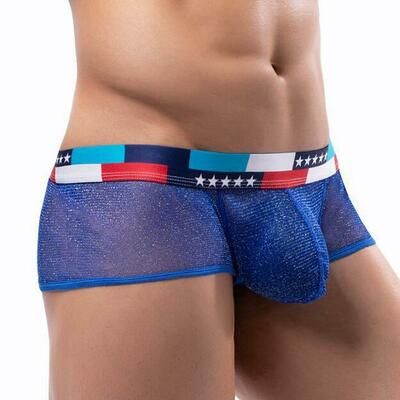 3pk sexy shiny mesh gauze lingerie men's underwear sheer boxer briefs underpants blue e076b - Thumbnail 2