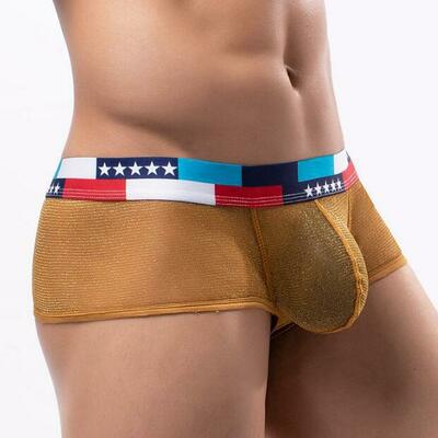 Wholesale 3pk gold sexy men's underwear shiny mesh gauze sheer boxer briefs underpants e076b - Thumbnail 1