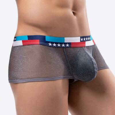 3PK Sexy Men's Underwear Wholesale Lingerie Shiny Mesh Gauze Sheer Boxer Briefs Underpants Gray E076B