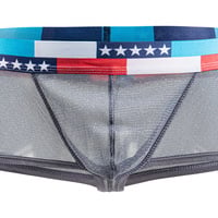 3PK Sexy Men's Underwear Wholesale Lingerie Shiny Mesh Gauze Sheer Boxer Briefs Underpants Gray E076B - Thumbnail 2