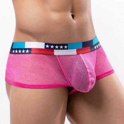 3pk sexy gay men's underwear lingerie shiny mesh gauze sheer boxer briefs underpants pink e076b - Thumbnail 1