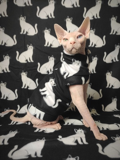 International Cat Day - Lightweight Fleece