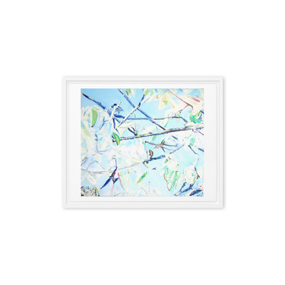 Framed canvas - Swallows