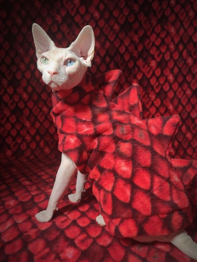 Red Gargoyle - Luxe Fleece