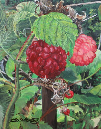"Raspberries" Acrylic painting on 11 x 14 inch stretched canvas, Original artwork by N.E.Thompson