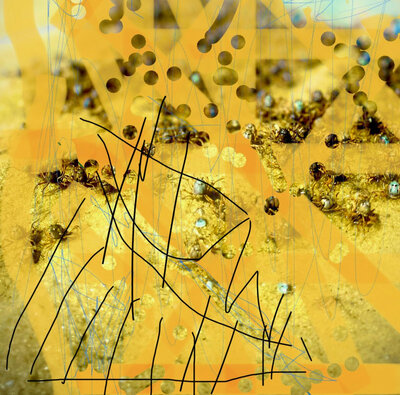 Lucas Abela 'Worn Out Welcome' CDR