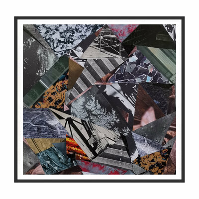 M.B. 'Bacillusmetrial Entopathogen' CD