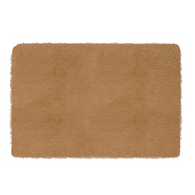 Fluffy Bedroom Rug 4 ? x 2.6 ? Anti-Skid Shaggy Area Rug Decorative Floor Carpet Mat for Nursery Bedroom Living Room-Coffee