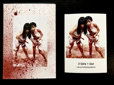 2 Girls 1 Gut DVDr + Photobook