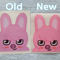 SKZ00 LARGE Peekers - Thumbnail 1