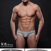 2PK Gay men's sexy underwear mesh perforated holes double thong Wangjiang lingerie underpants Gray 4003SD - Thumbnail 1