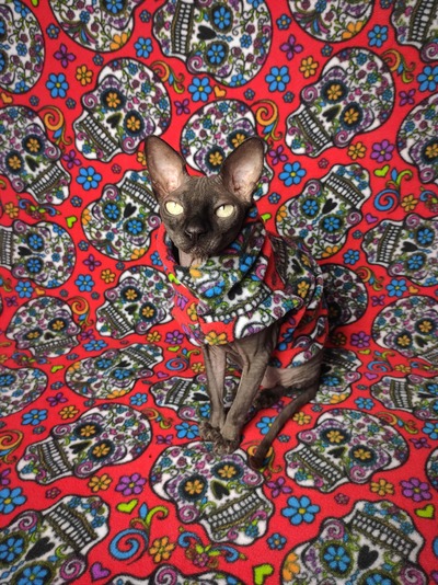 Dia De Los Muertos (Red) - Fleece