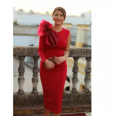 Red Mother Of The Bride /Groom Dresses For Wedding Party Gown With Bow On Single Long Sleeves V-Neck Simple Tea Length