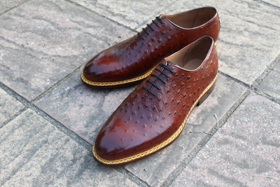 Crafted Leather Classic Men Fashion Dark Brown Genuine Ostrich Leather Lace up Dress Shoes
