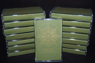 Wallflower Demo Cassette