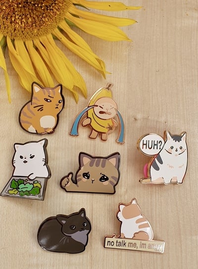 Blind Bag Cat Meme Pins