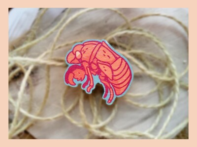 Cicada Shell - Wooden Pin