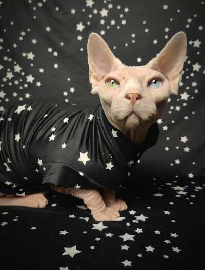 Starry Skies - Sleepwear