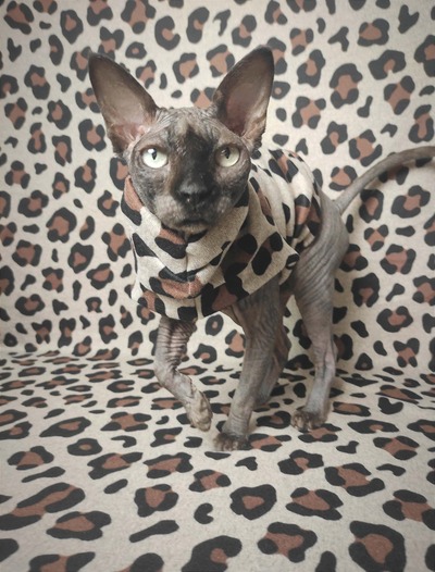 Heathered Jaguar - Sweaterknit