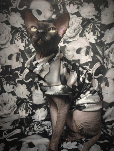 Death Becomes Her - Velvet