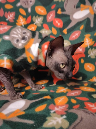 Is That A Squirrel On My Back? - Fleece