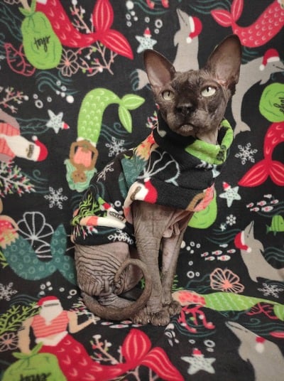 Under The Sea Xmas - Luxe Fleece