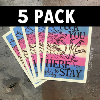 HERE TO STAY stickers 5-pack