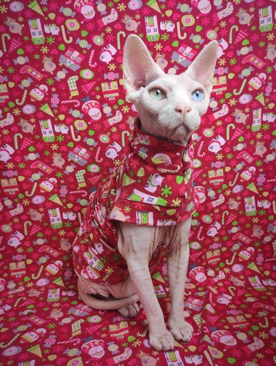 Santa Slays! - Sleepwear