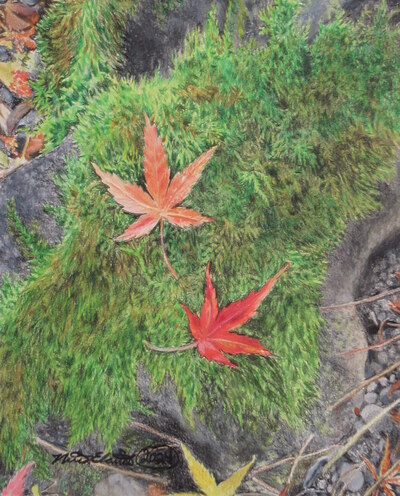 "Fallen Leaves On A Mossy Rock" Original Realism Drawing By N.E.Thompson, Artwork Size 8x10 Inches