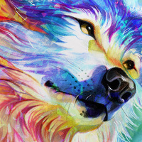 Rainbow Wolf I - Premium Holographic Poster - Thumbnail 3