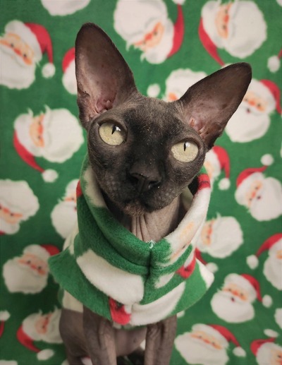 Jolly Ol' Saint Nicks - Luxe Fleece